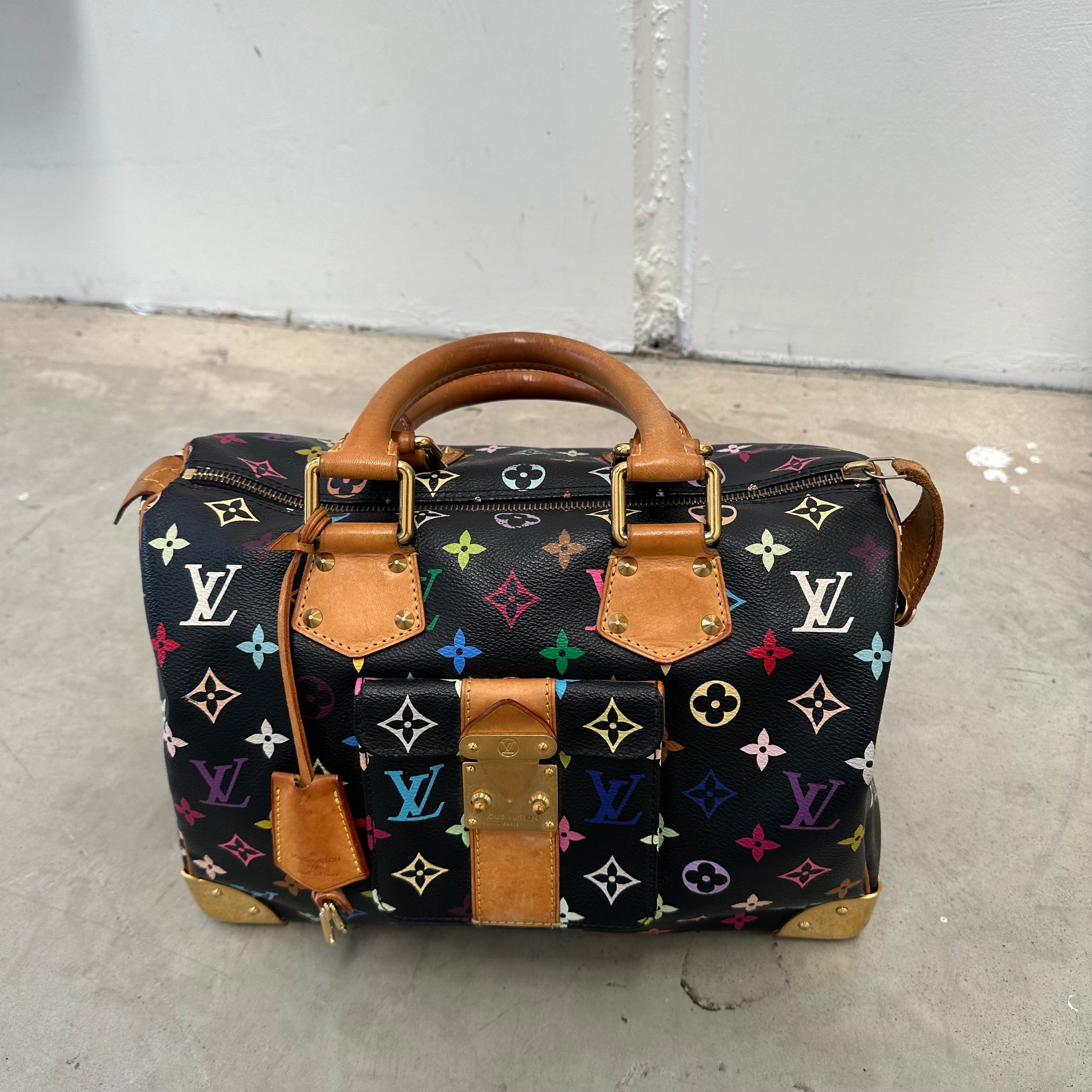Speedy Louis Vuitton Multicolor Schwarz Louis Vuitton Takashi