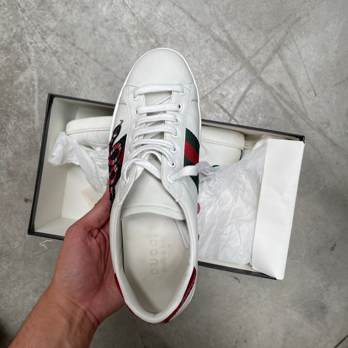 Gucci store kingsnake sneakers