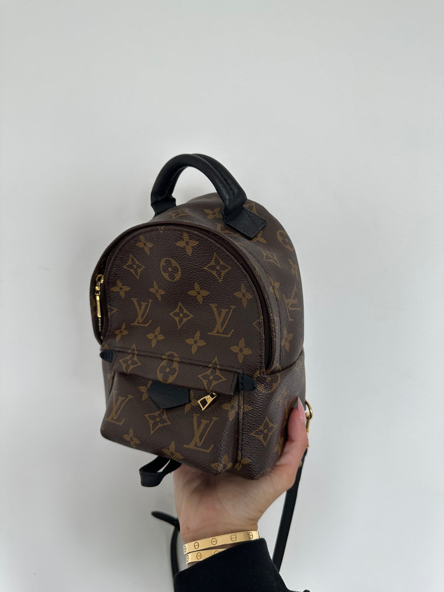 Louis Vuitton Palm Springs Mini Bag Curated by Charbel