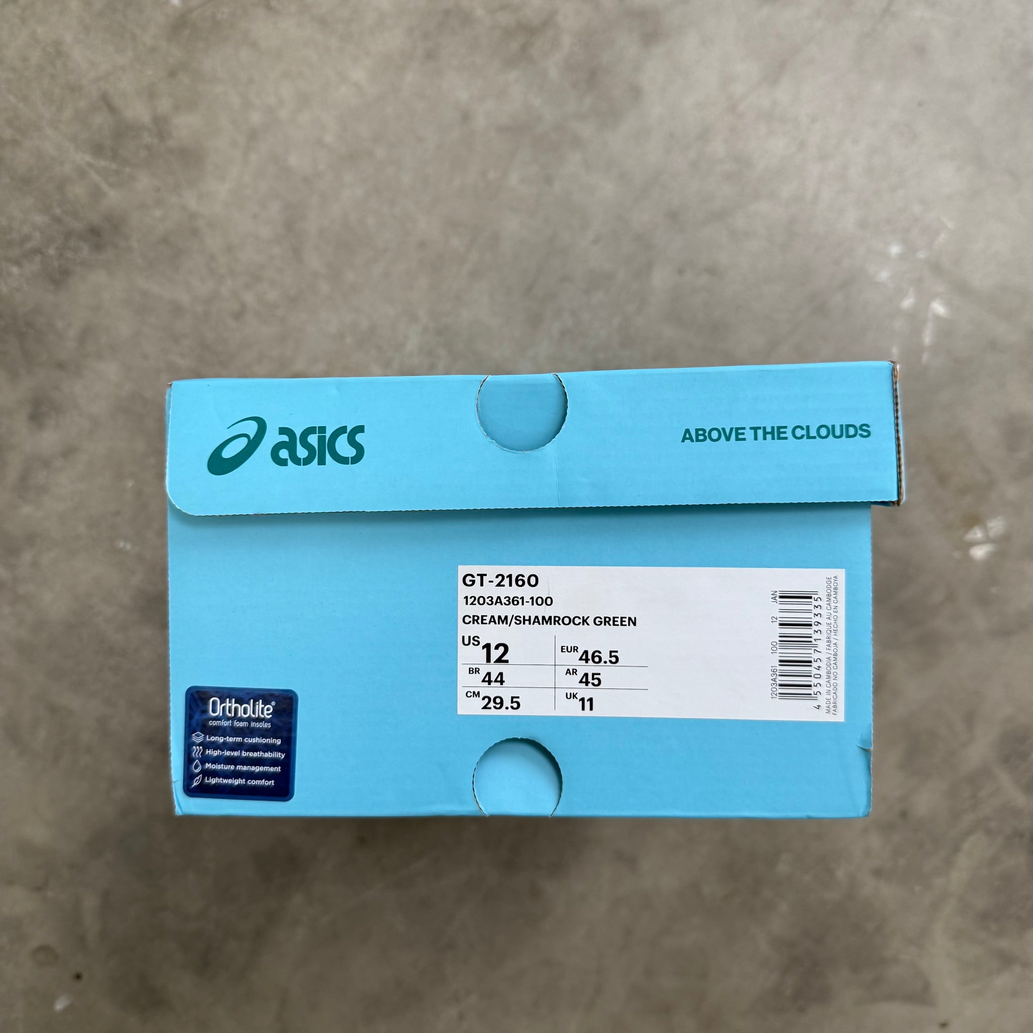 ASICS GT-2160 Above The Clouds (US12)