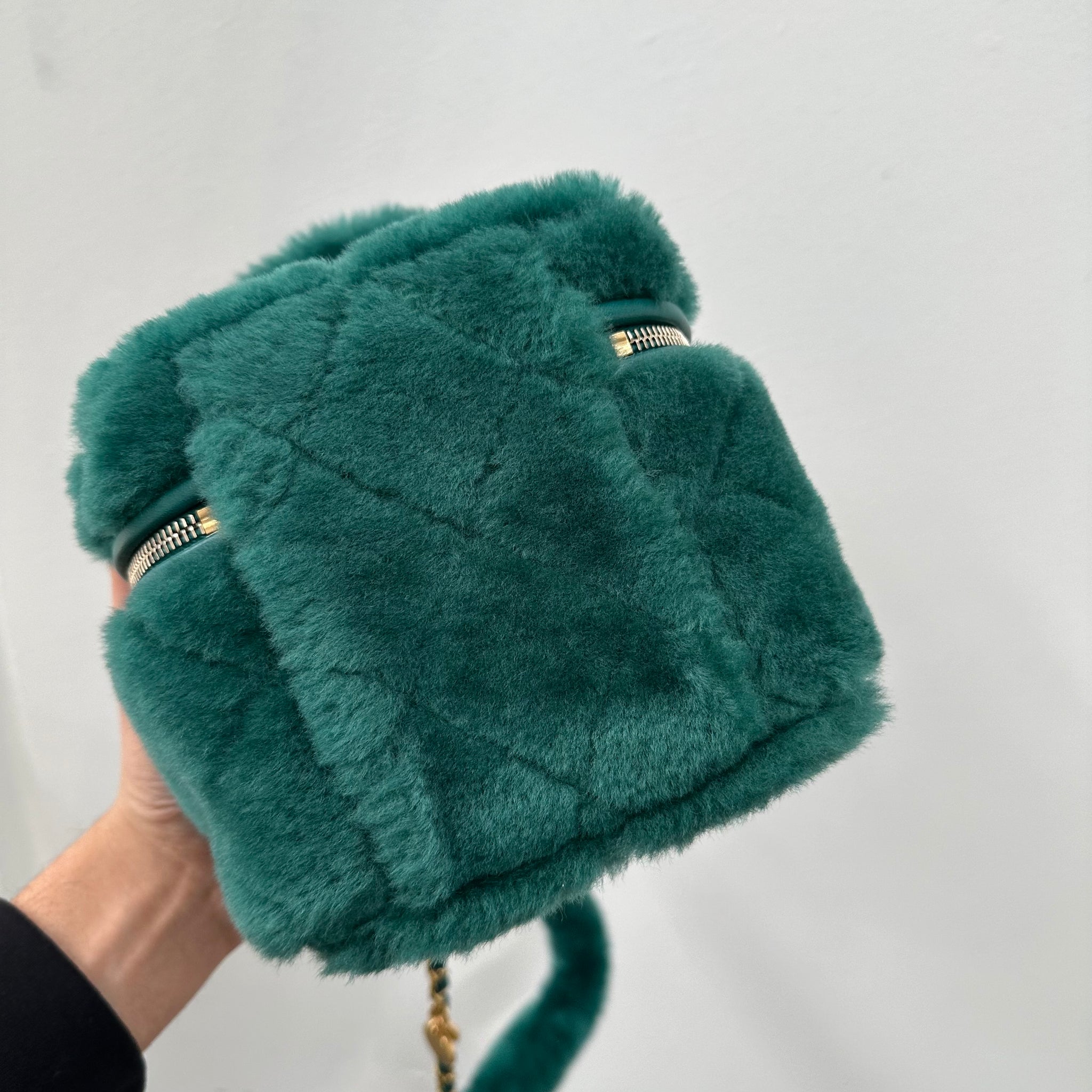 Chanel Green Shearling Vanity Bag 2022