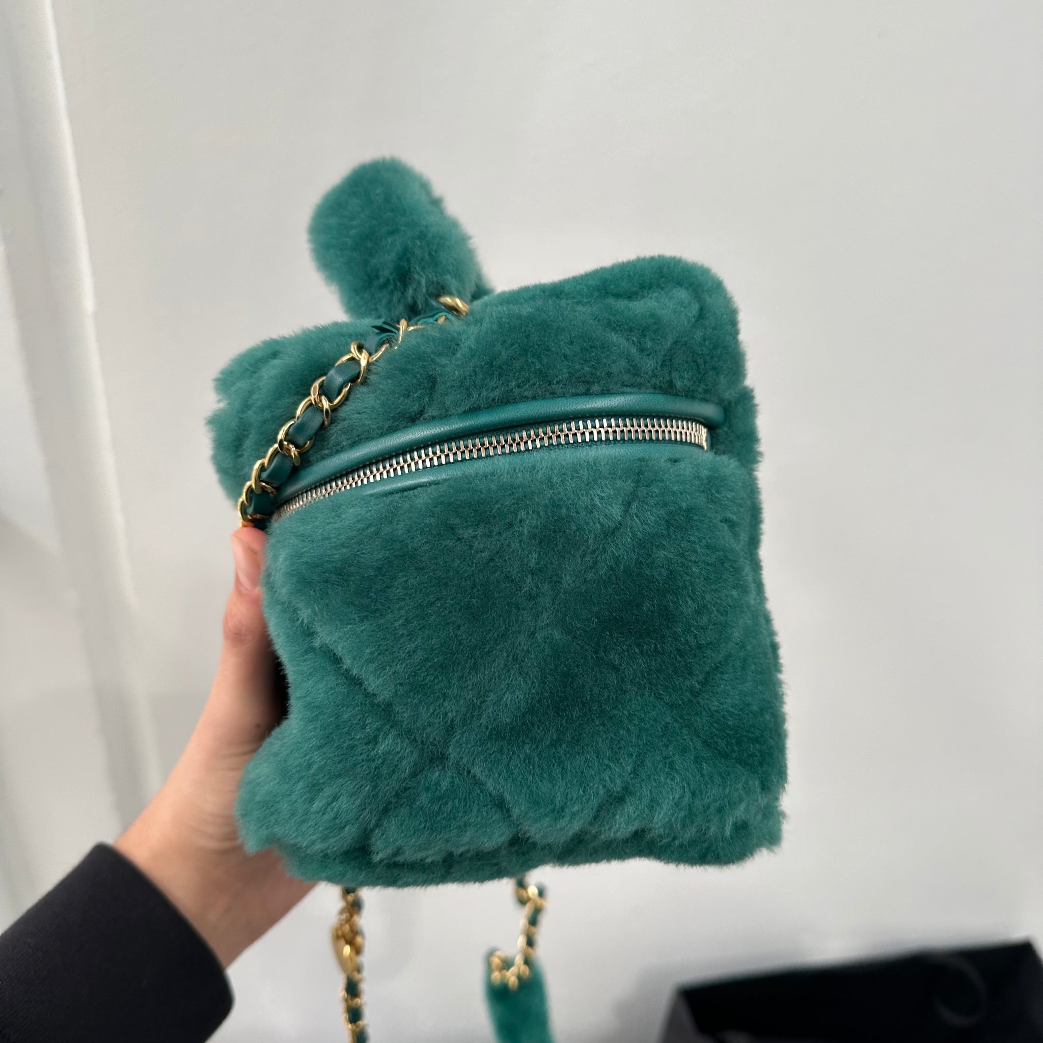 Chanel Green Shearling Vanity Bag 2022