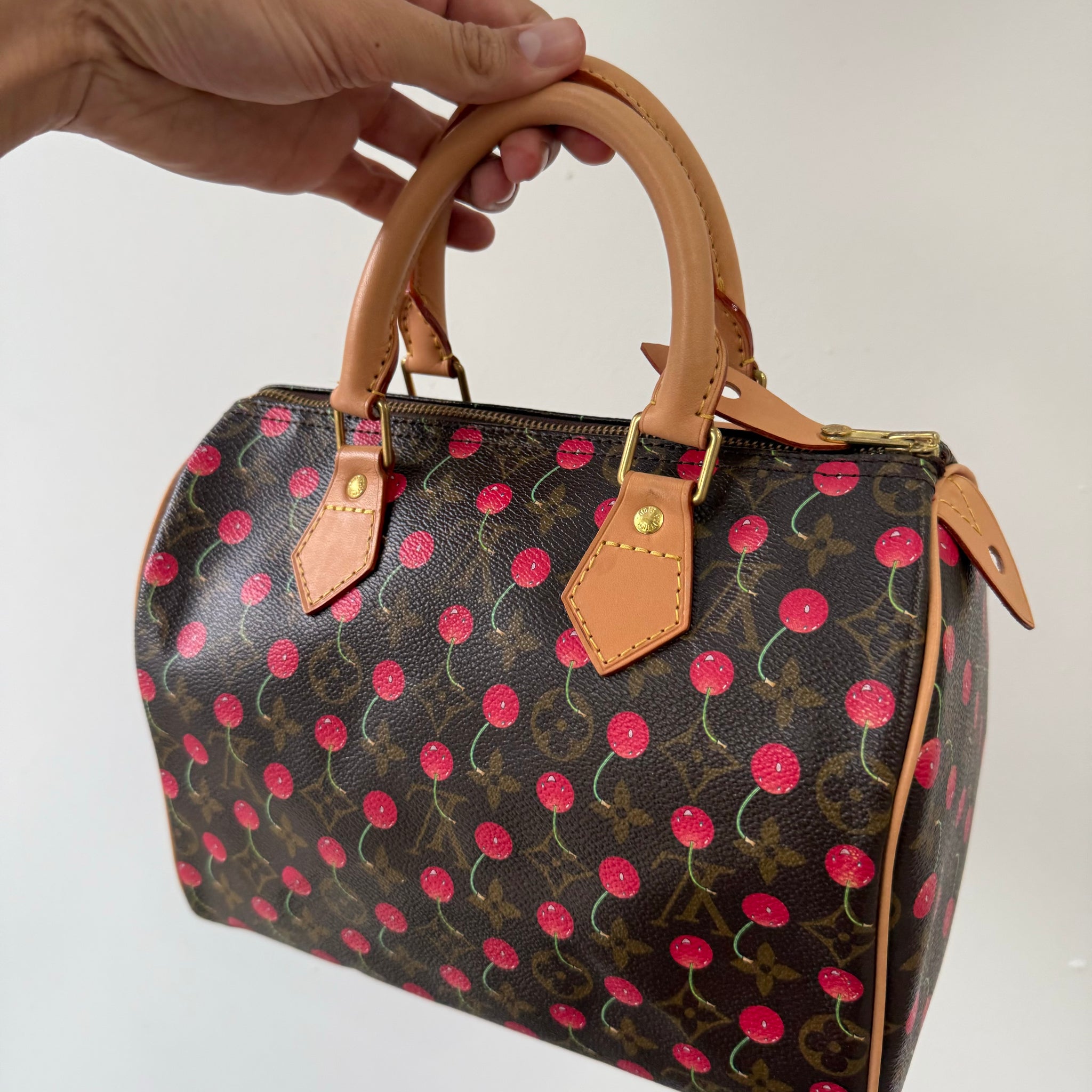 Louis Vuitton Takashi Murakami Cherry Speedy