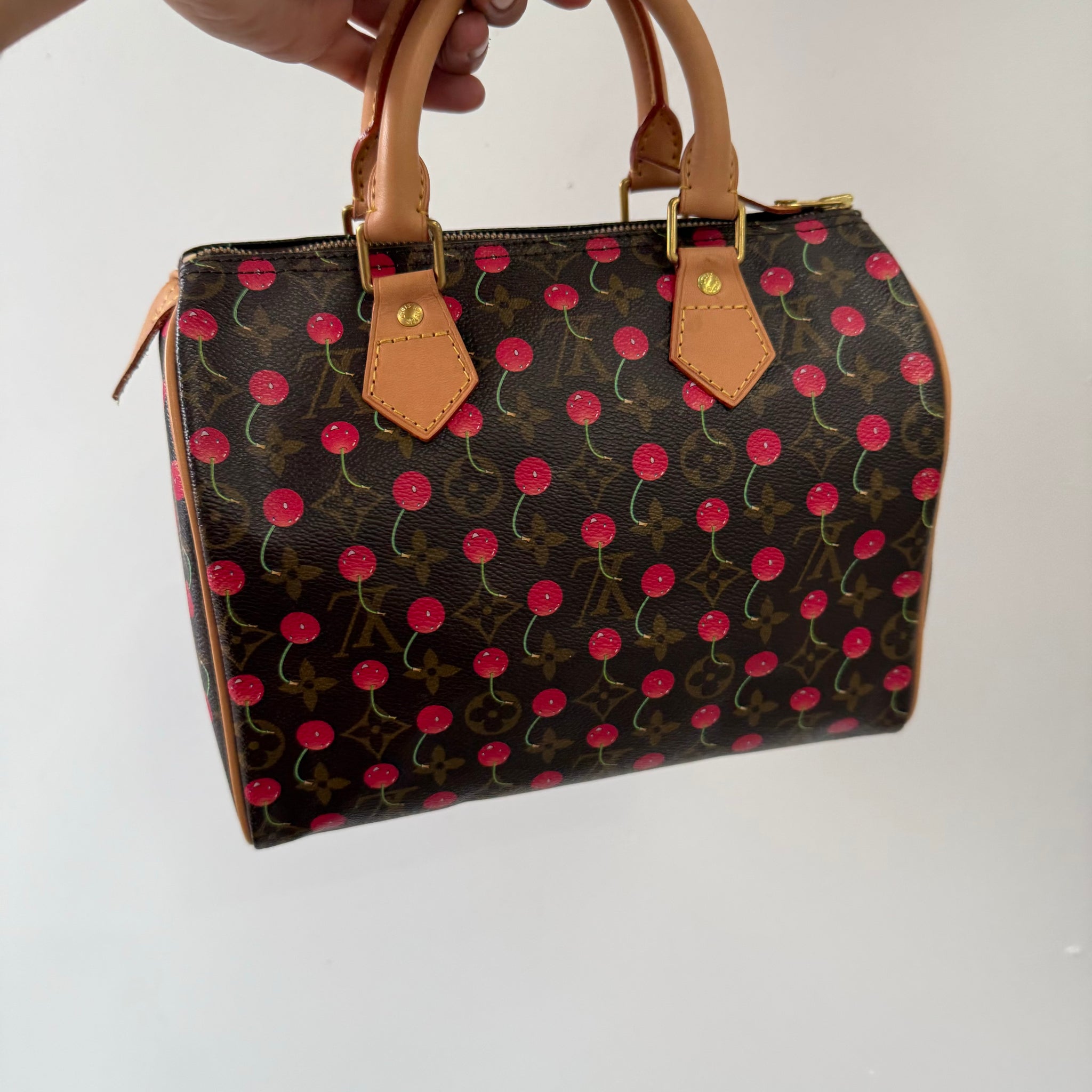 Louis Vuitton Takashi Murakami Cherry Speedy