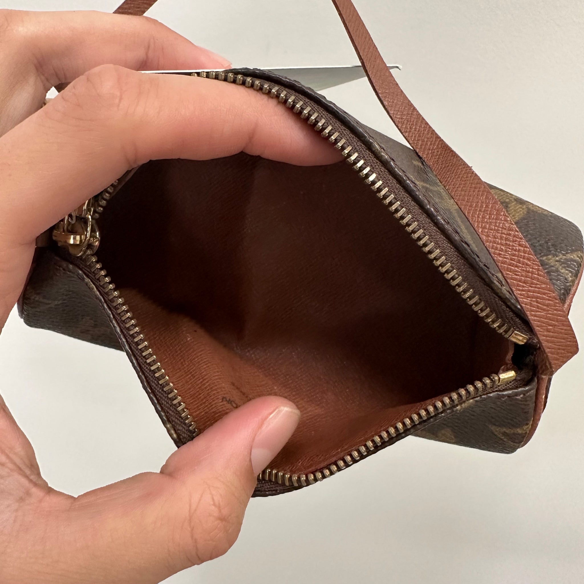 Louis Vuitton LV Accessory Pouch Papillon