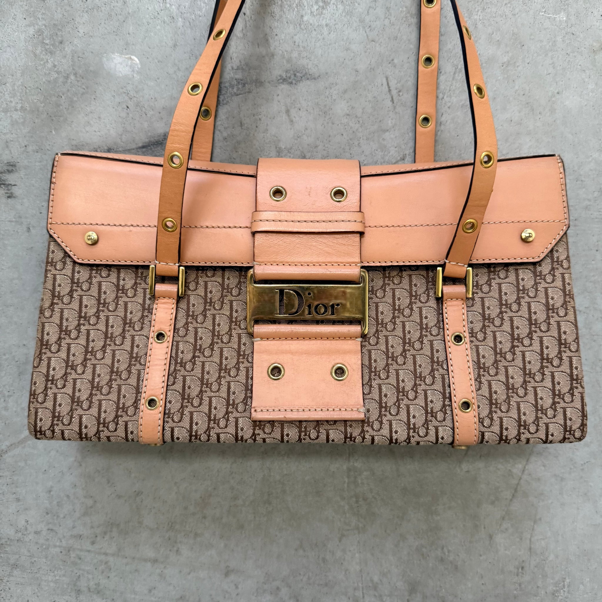 Christian Dior Logo Print Columbus Bag