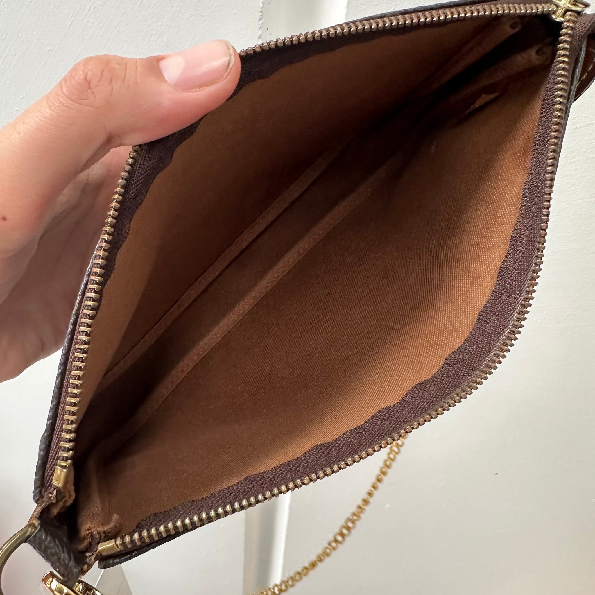 Louis Vuitton Pochette Accessories Bag