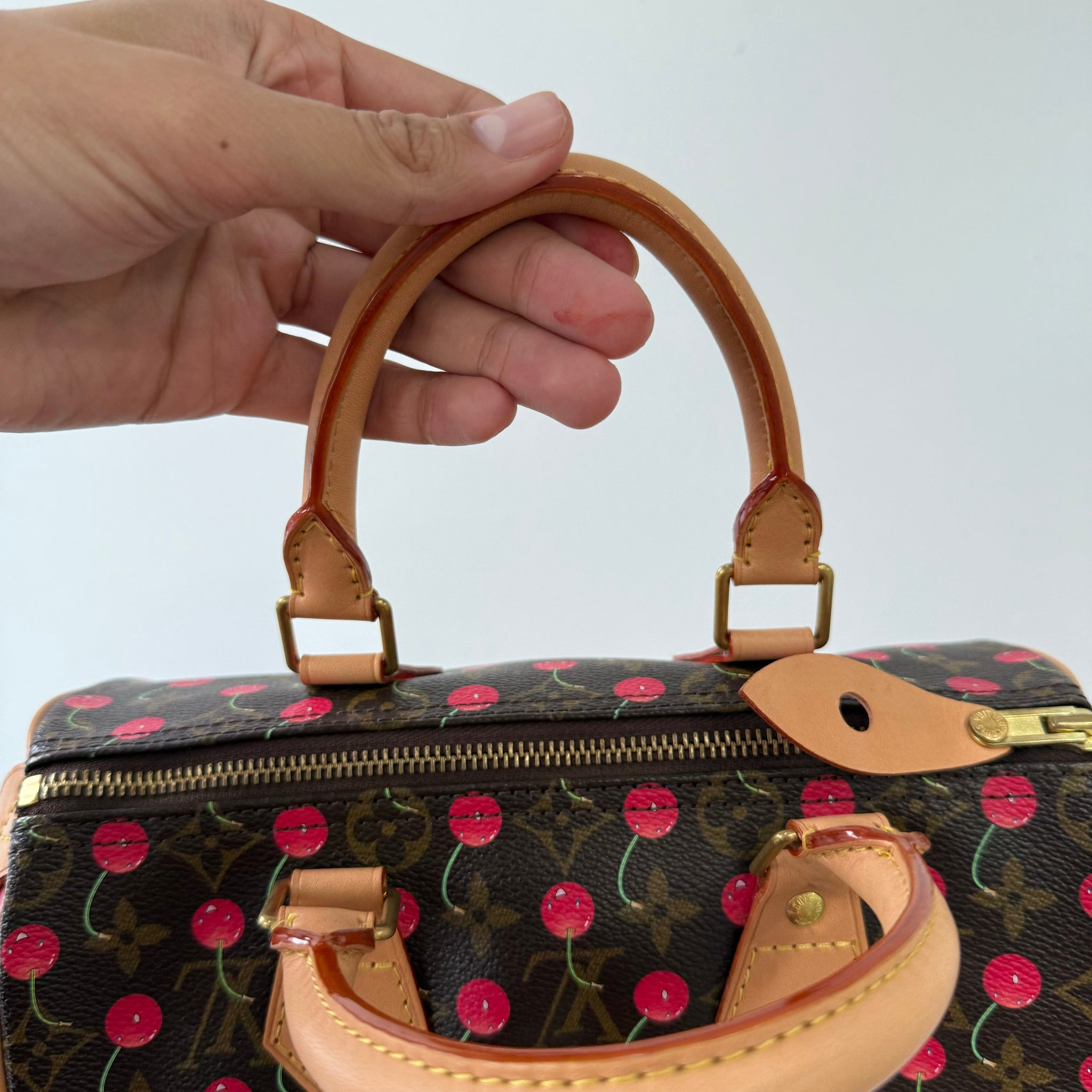Louis Vuitton Takashi Murakami Cherry Speedy