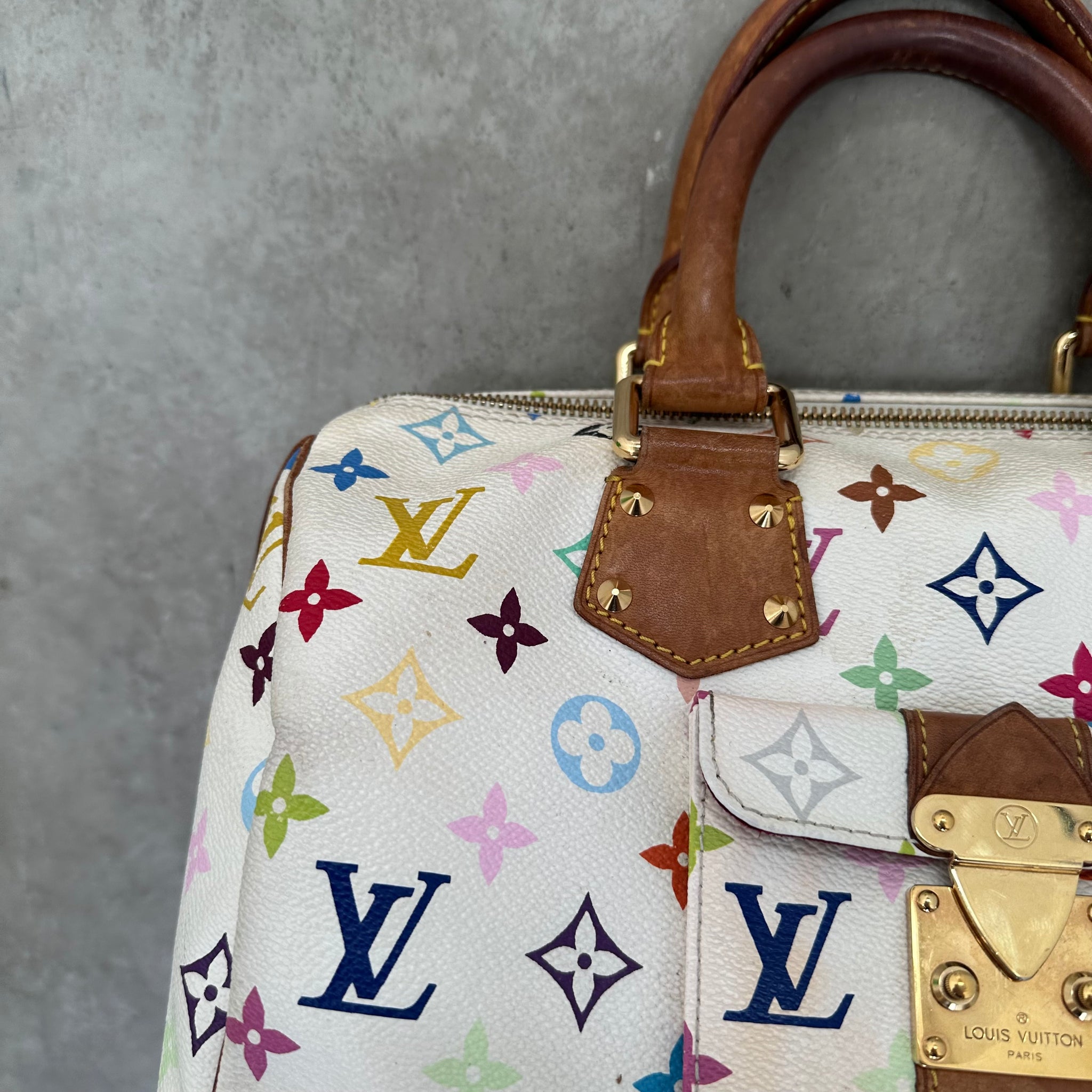 Louis Vuitton Takashi Murakami Speedy 30 Handbag Multicolour/White