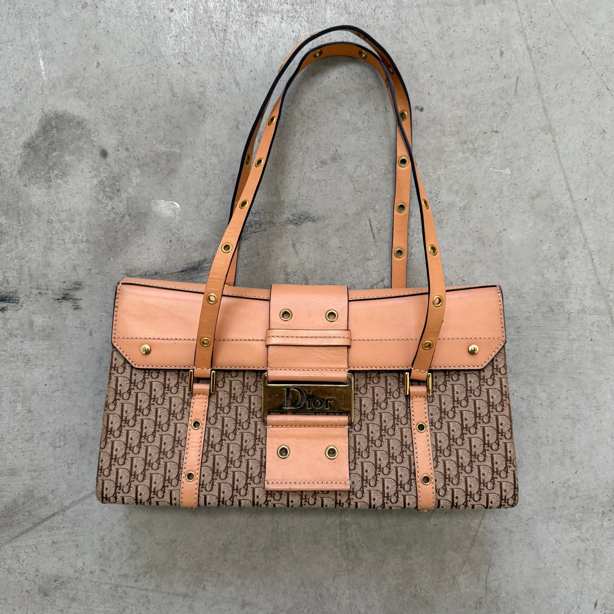 Christian Dior Logo Print Columbus Bag