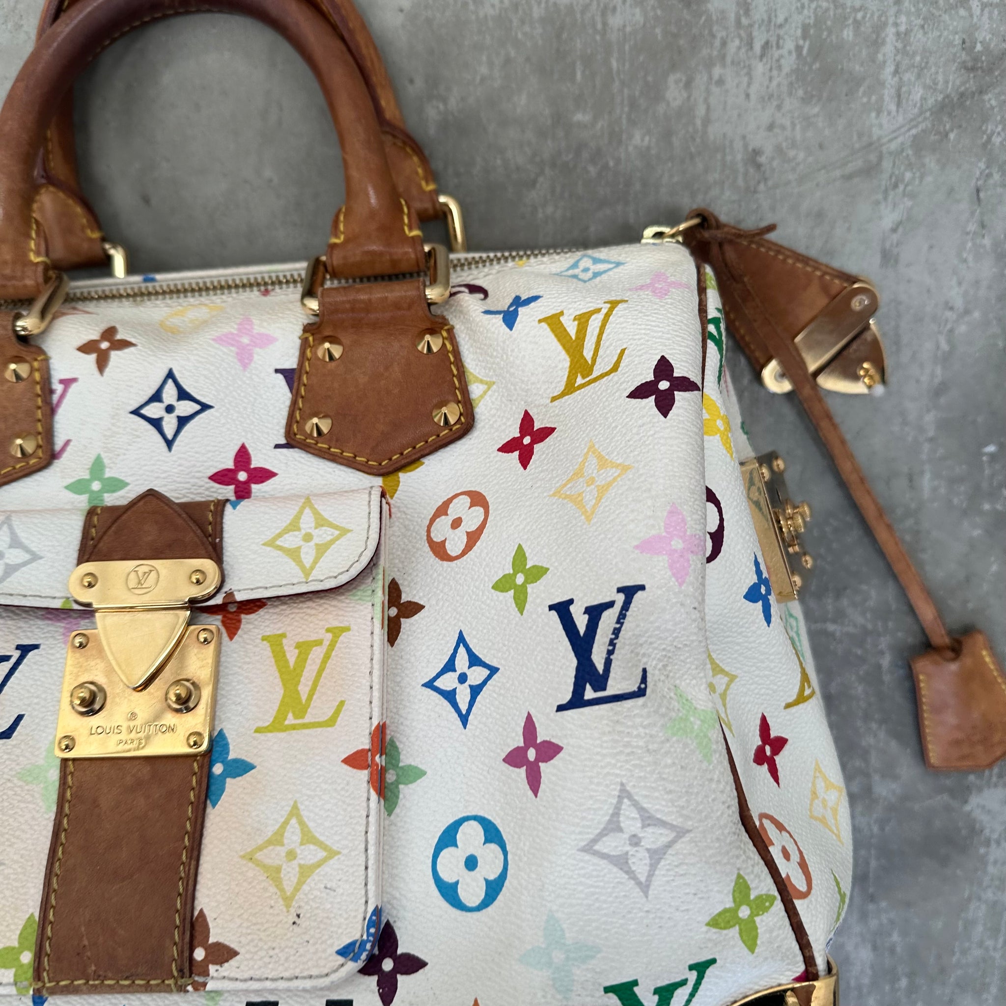 Louis Vuitton Takashi Murakami Speedy 30 Handbag Multicolour/White