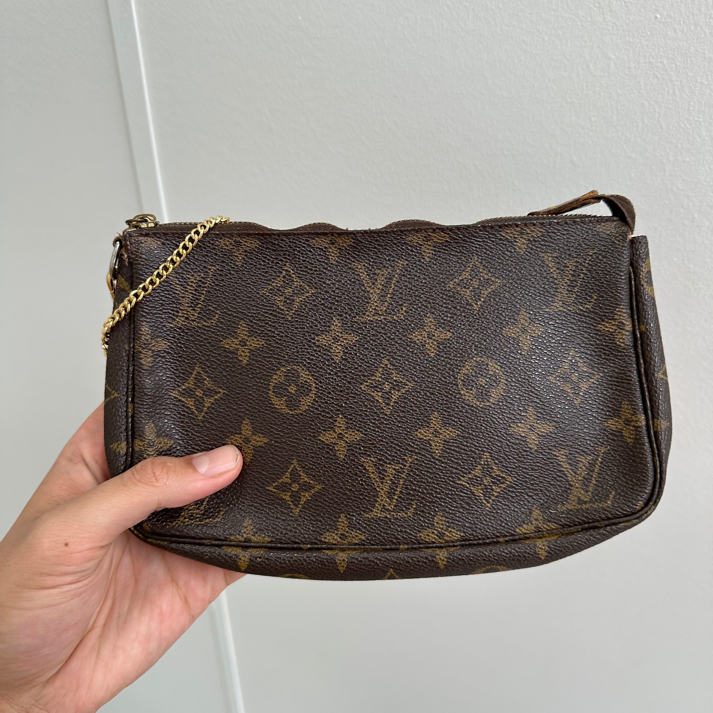 Louis Vuitton Pochette Accessories Bag