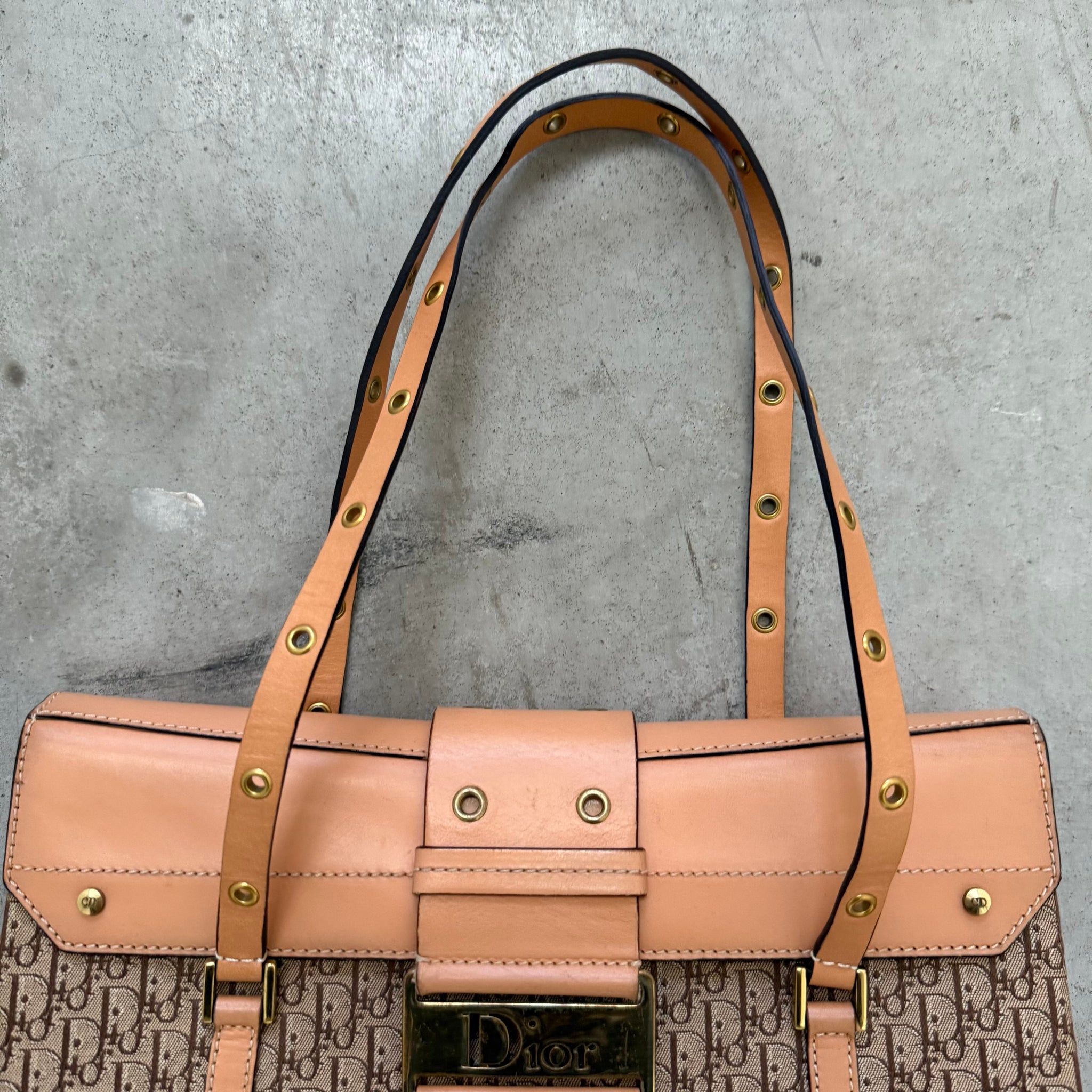 Christian Dior Logo Print Columbus Bag