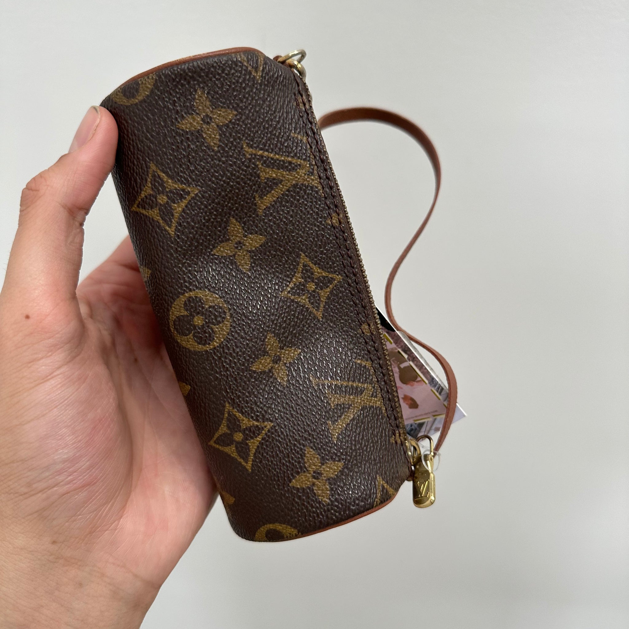 Louis Vuitton LV Accessory Pouch Papillon