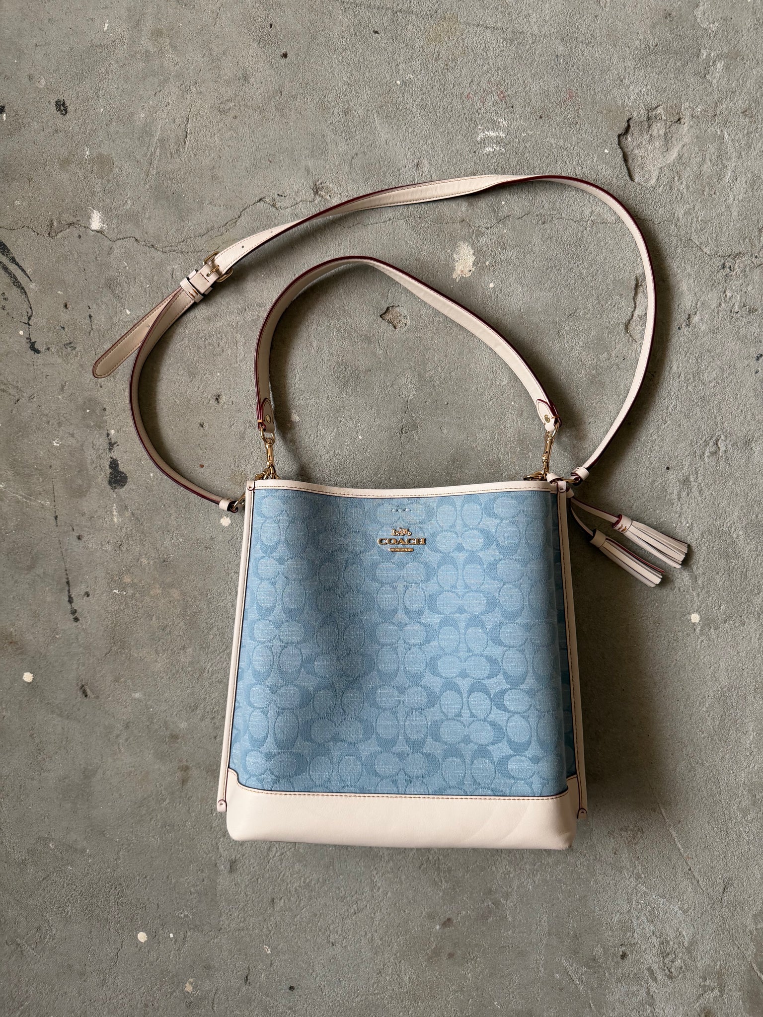 Coach 2Way Signature Mollie 22 Bucket Bag Blue/White