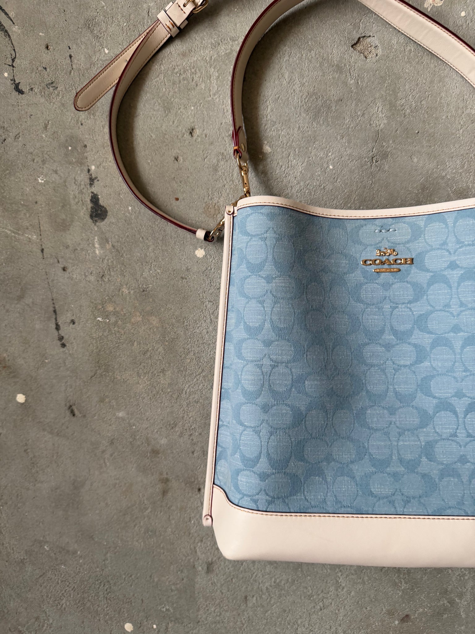 Coach 2Way Signature Mollie 22 Bucket Bag Blue/White