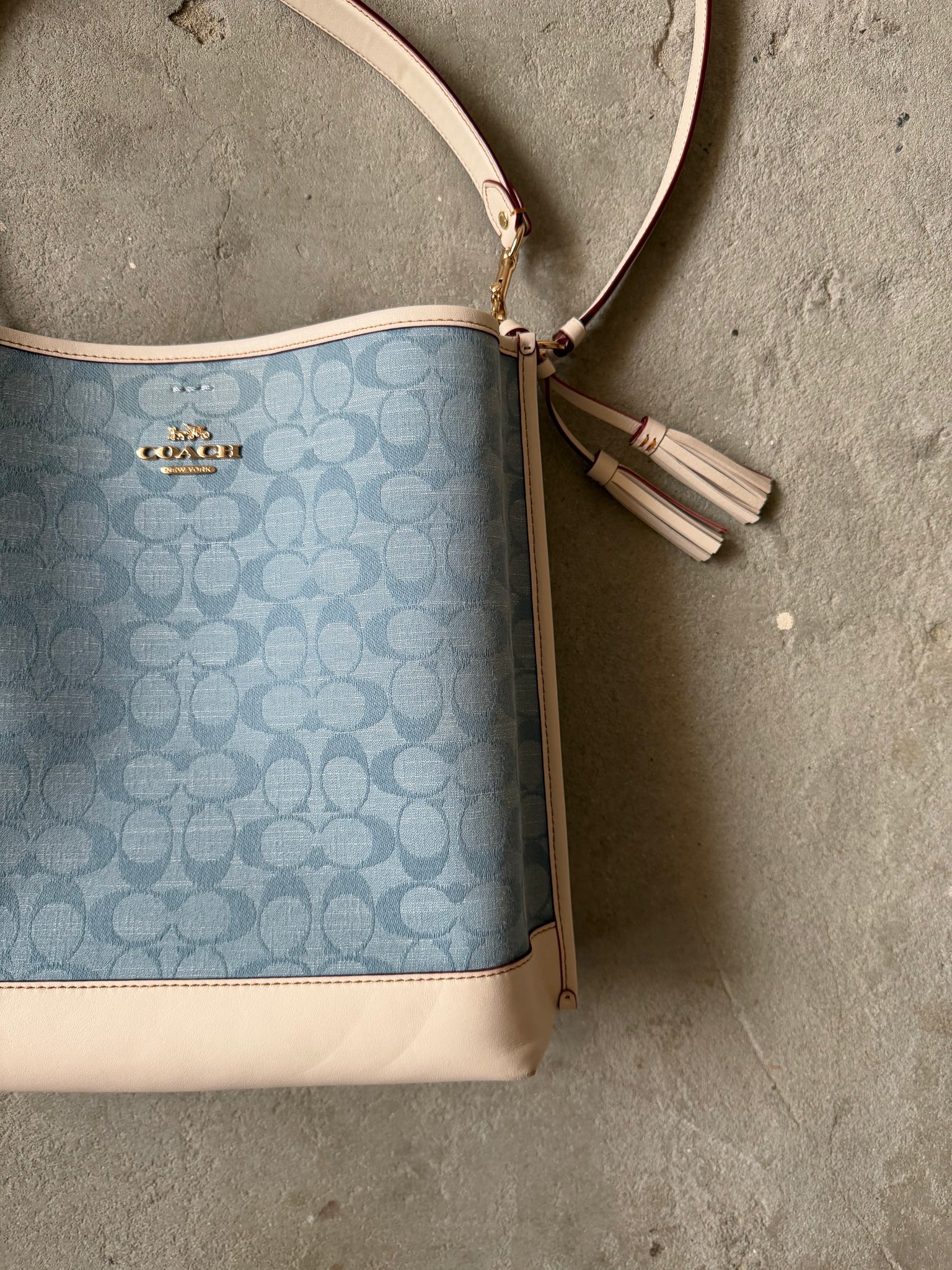 Coach 2Way Signature Mollie 22 Bucket Bag Blue/White