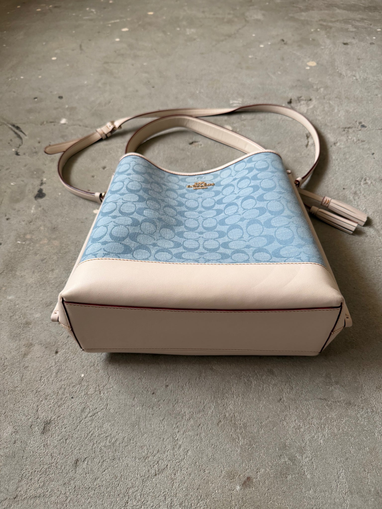 Coach 2Way Signature Mollie 22 Bucket Bag Blue/White