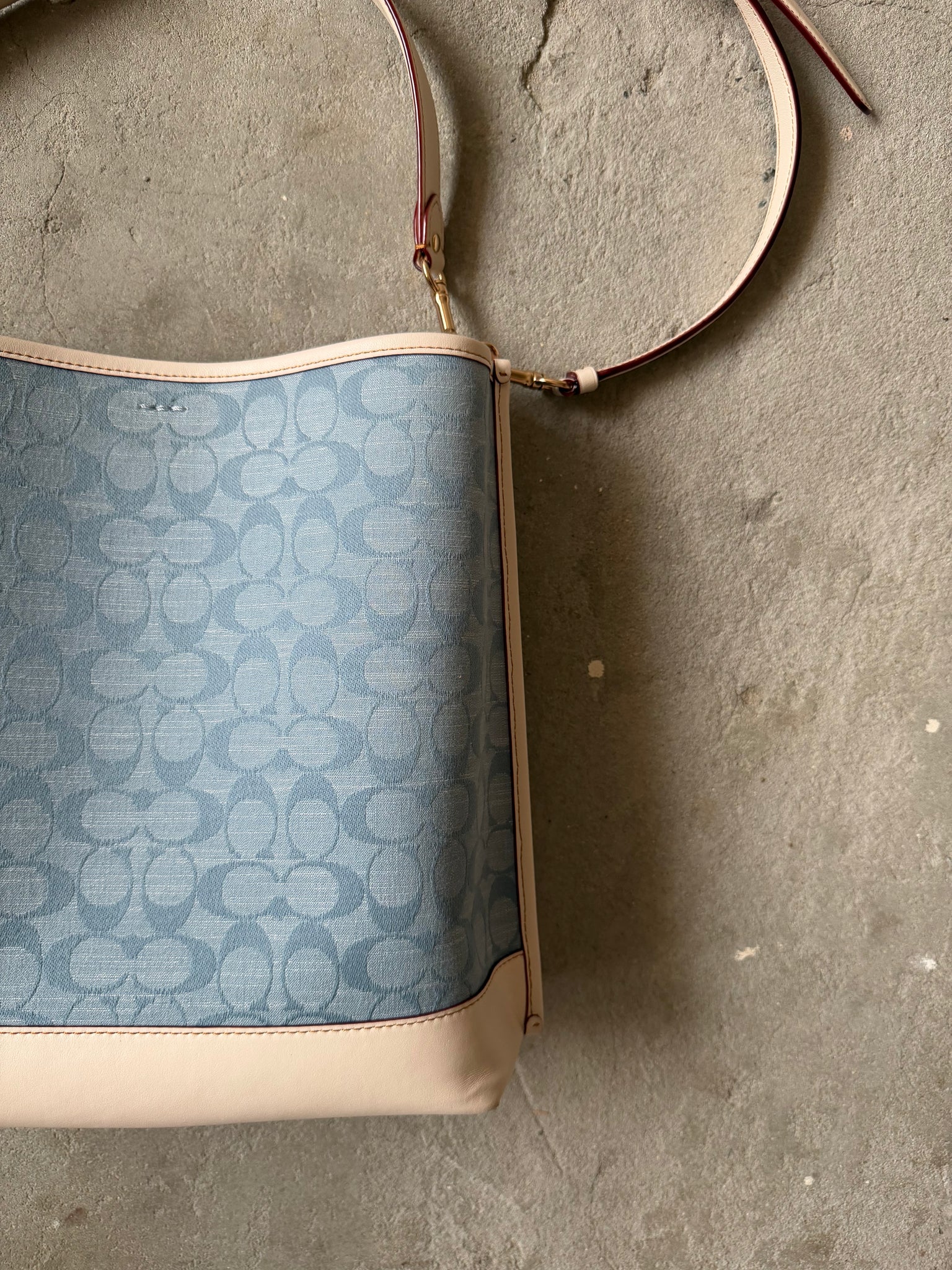 Coach 2Way Signature Mollie 22 Bucket Bag Blue/White