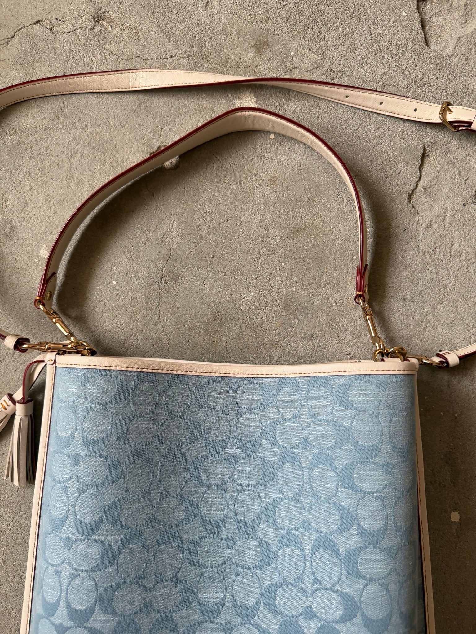 Coach 2Way Signature Mollie 22 Bucket Bag Blue/White