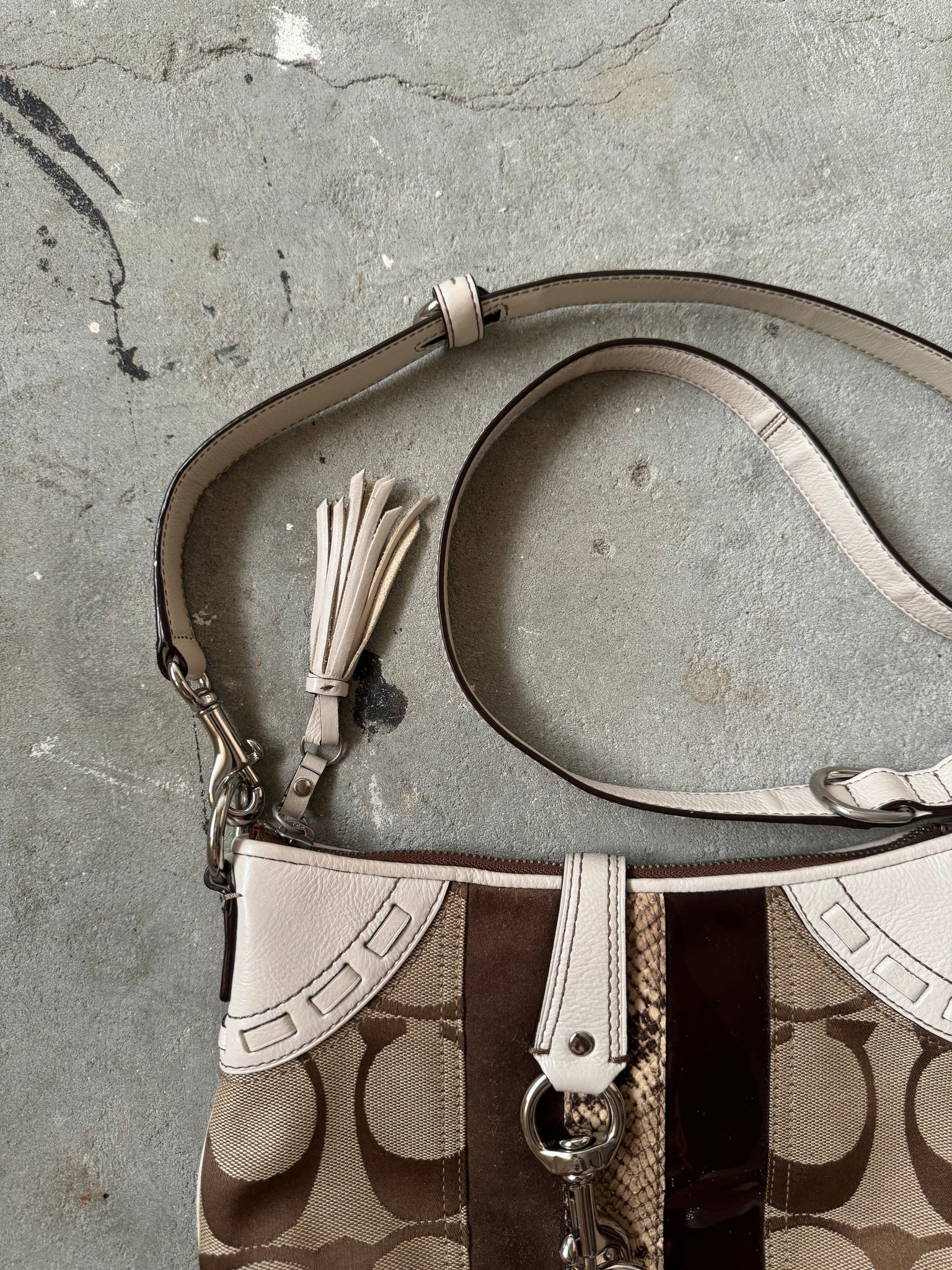 Coach 2Way Signature Python Stripe Hand Bag