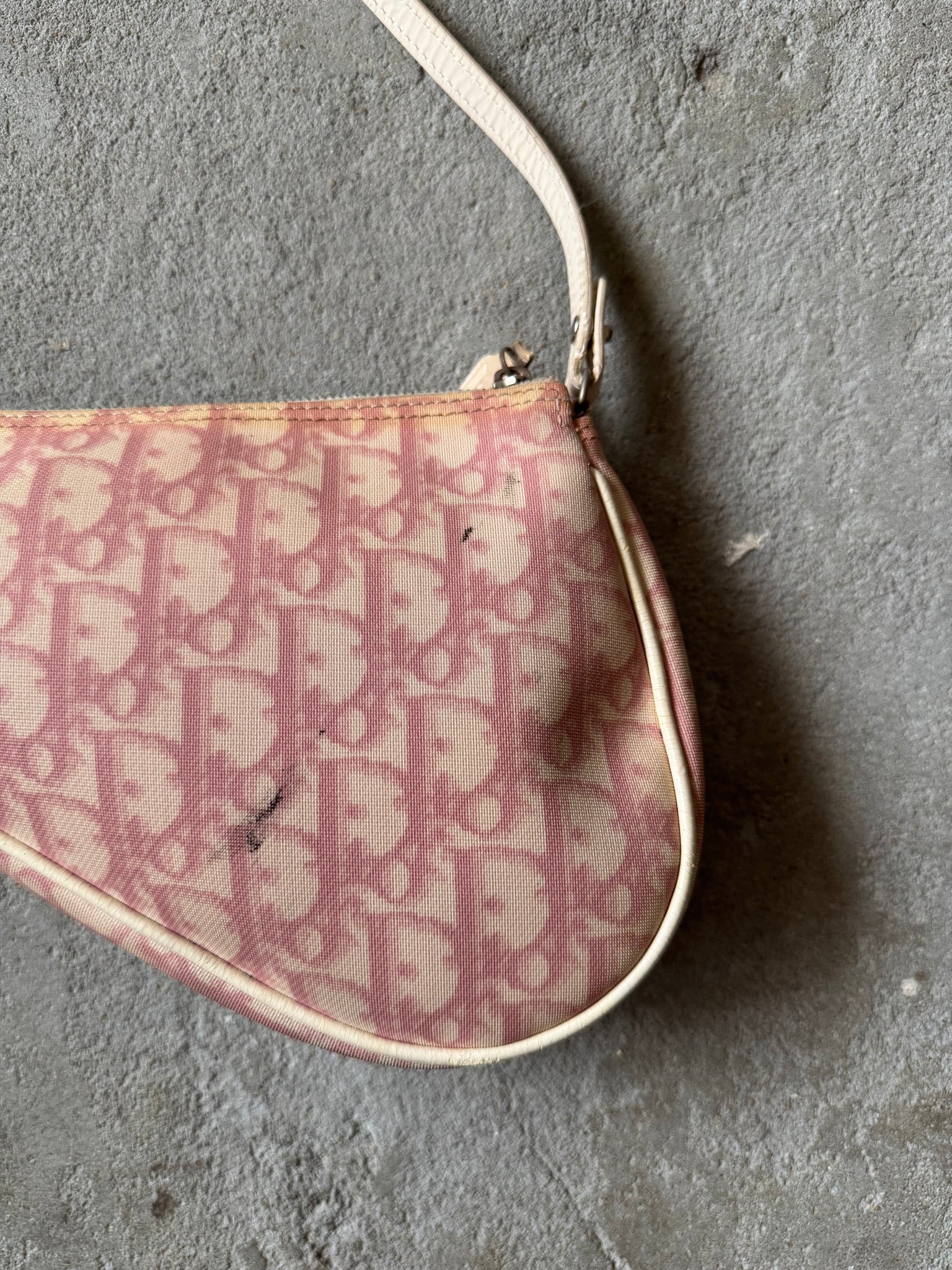Dior Trotter Saddle Shoulder Bag Pink