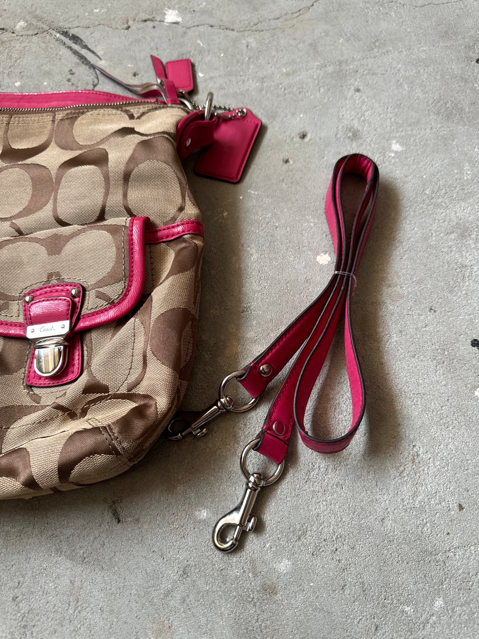 Coach 2Way Signature Pocket Hobo Daisy Shoulder Bag Beige/Pink