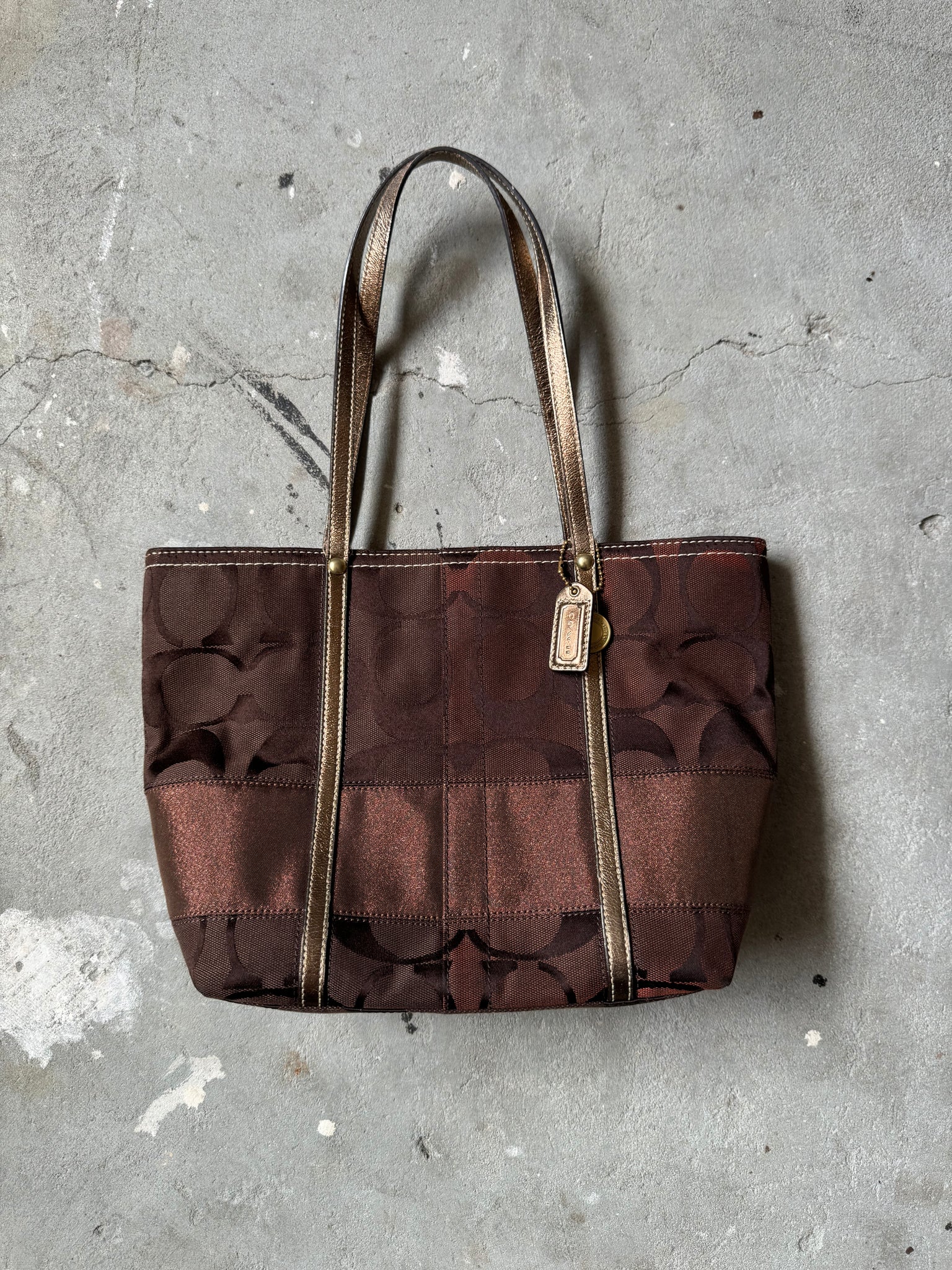 Coach Signature Stripe Hand Bag Brown (FREE)