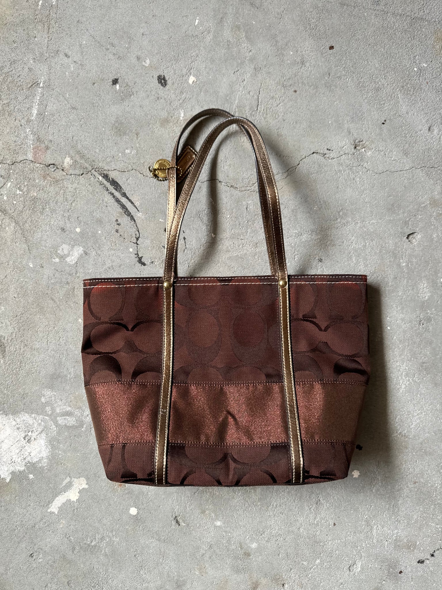 Coach Signature Stripe Hand Bag Brown (FREE)