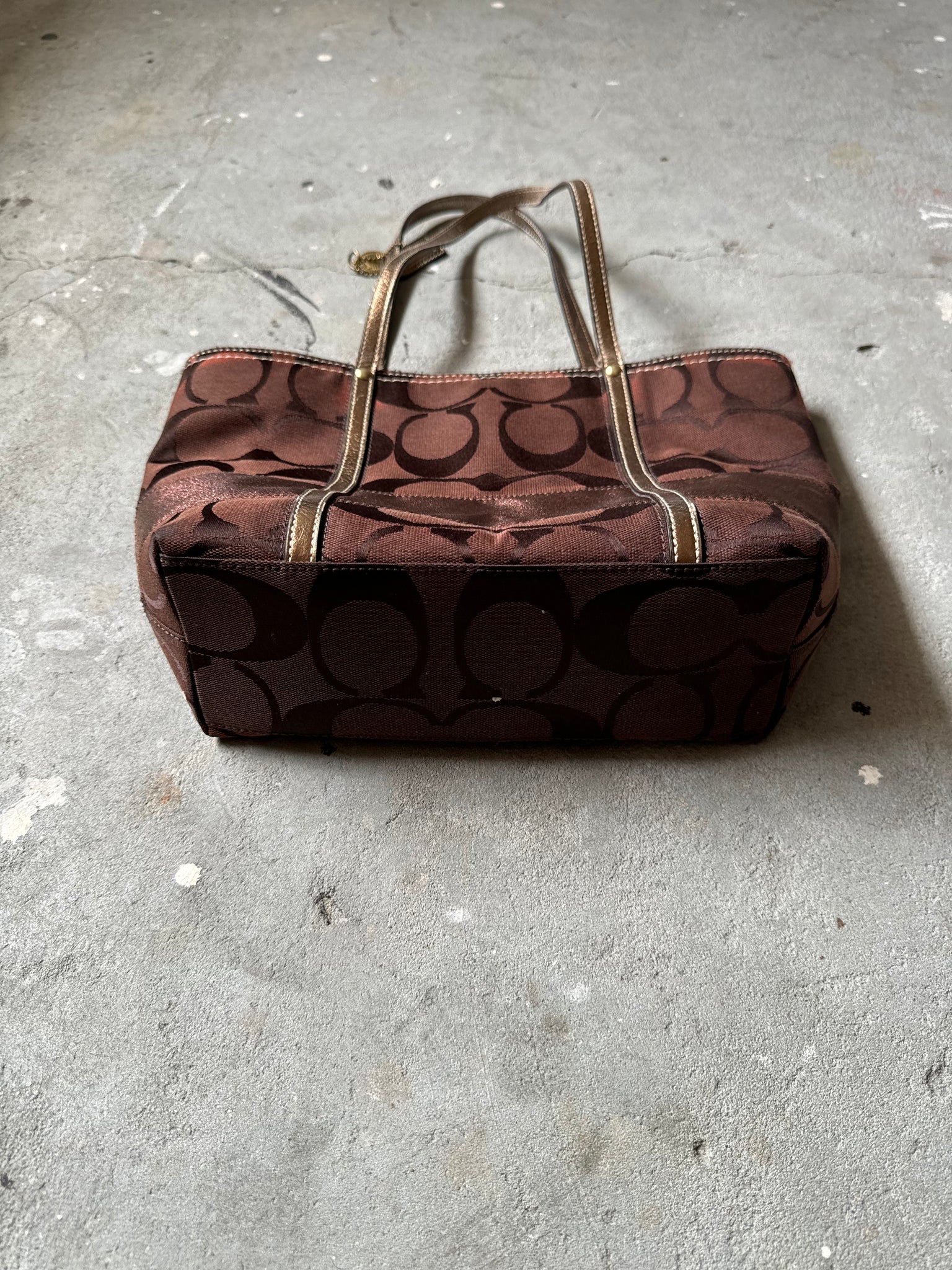 Coach Signature Stripe Hand Bag Brown (FREE)