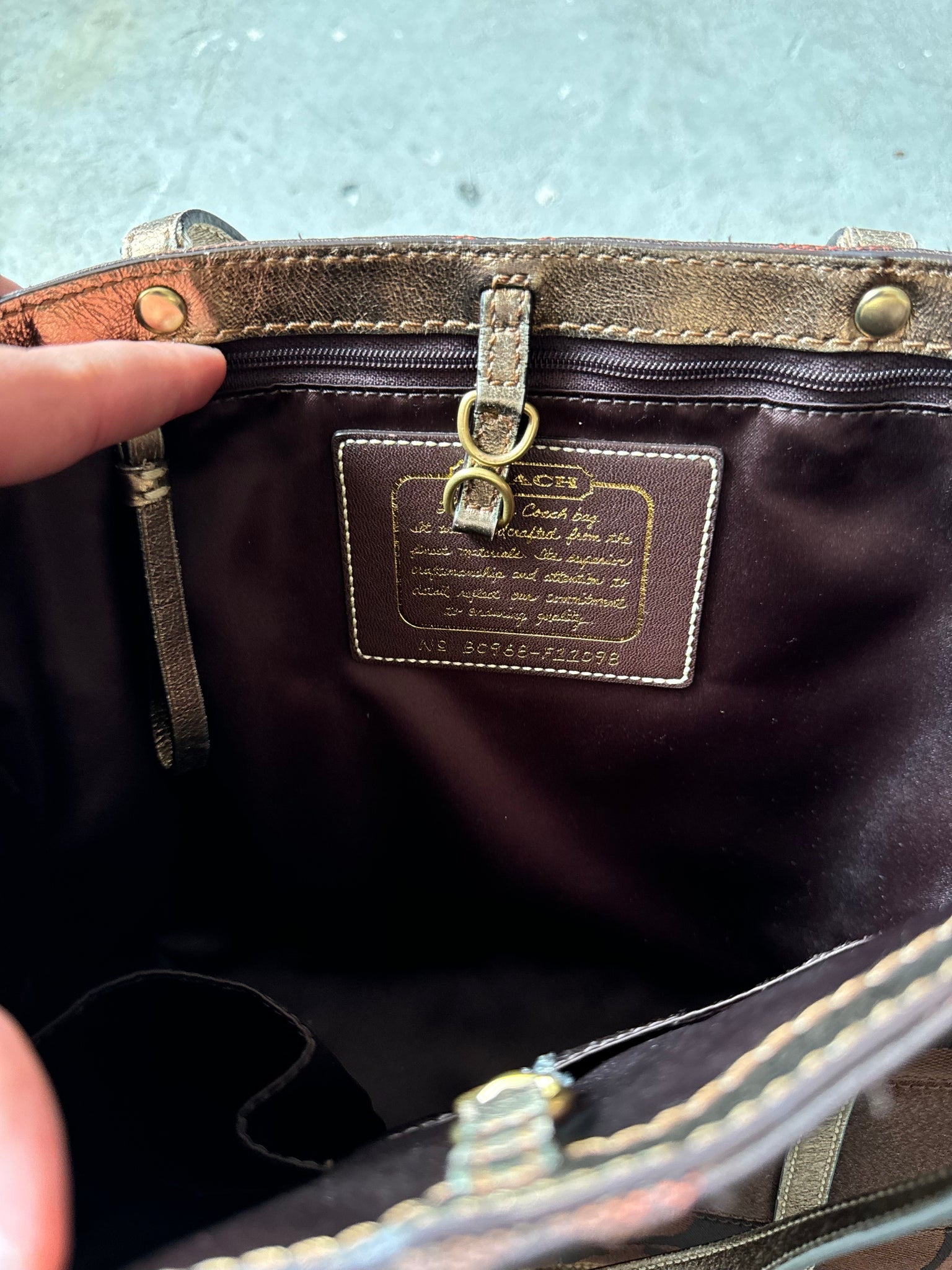 Coach Signature Stripe Hand Bag Brown (FREE)