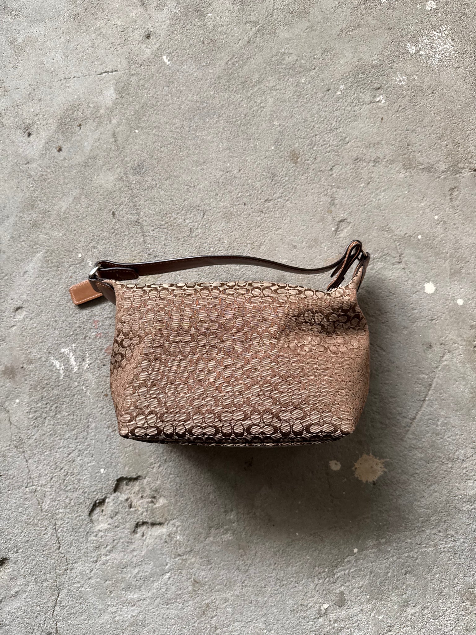 Coach Signature Mini Hobo Shoulder Bag Beige/Brown