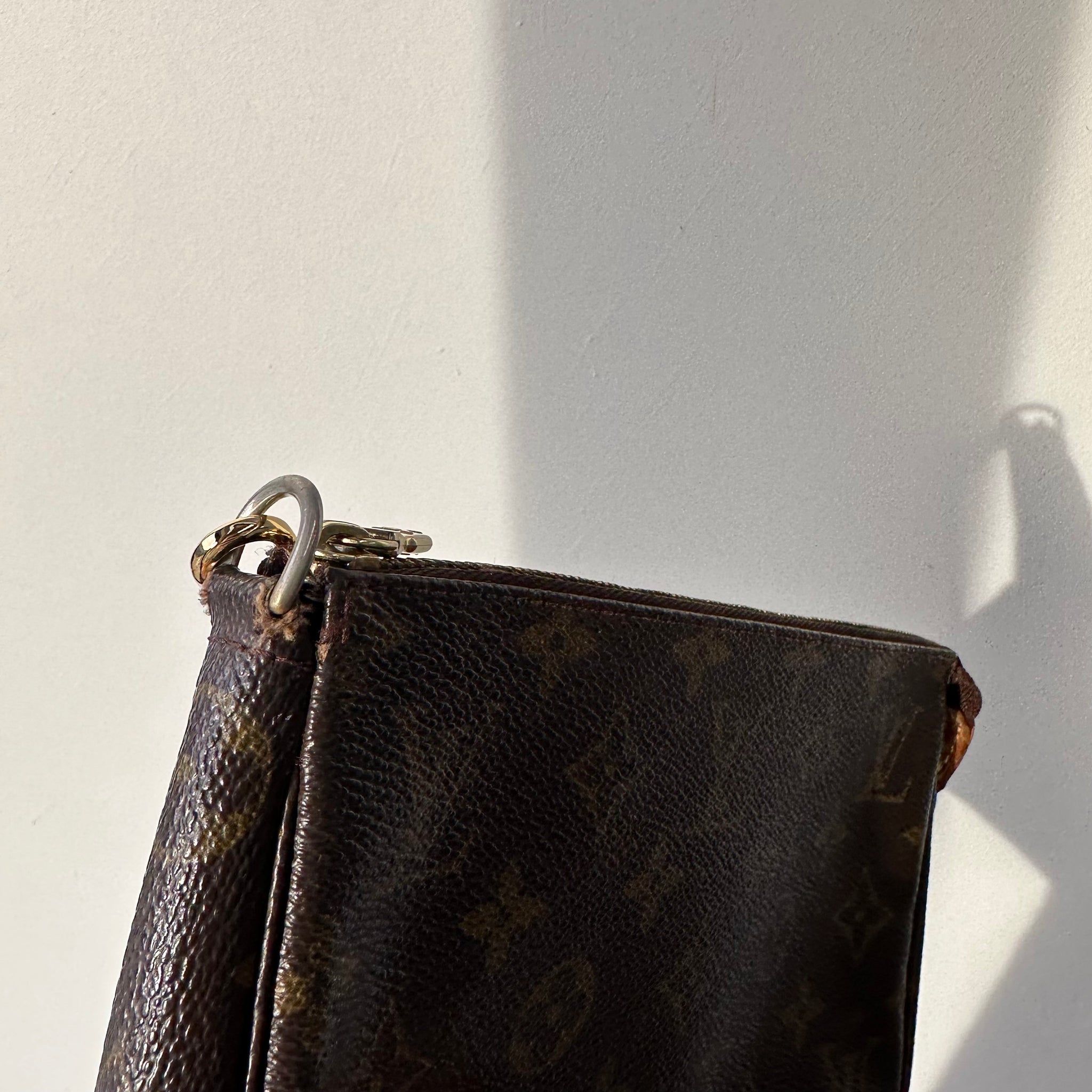 Louis Vuitton Pochette Accessories
