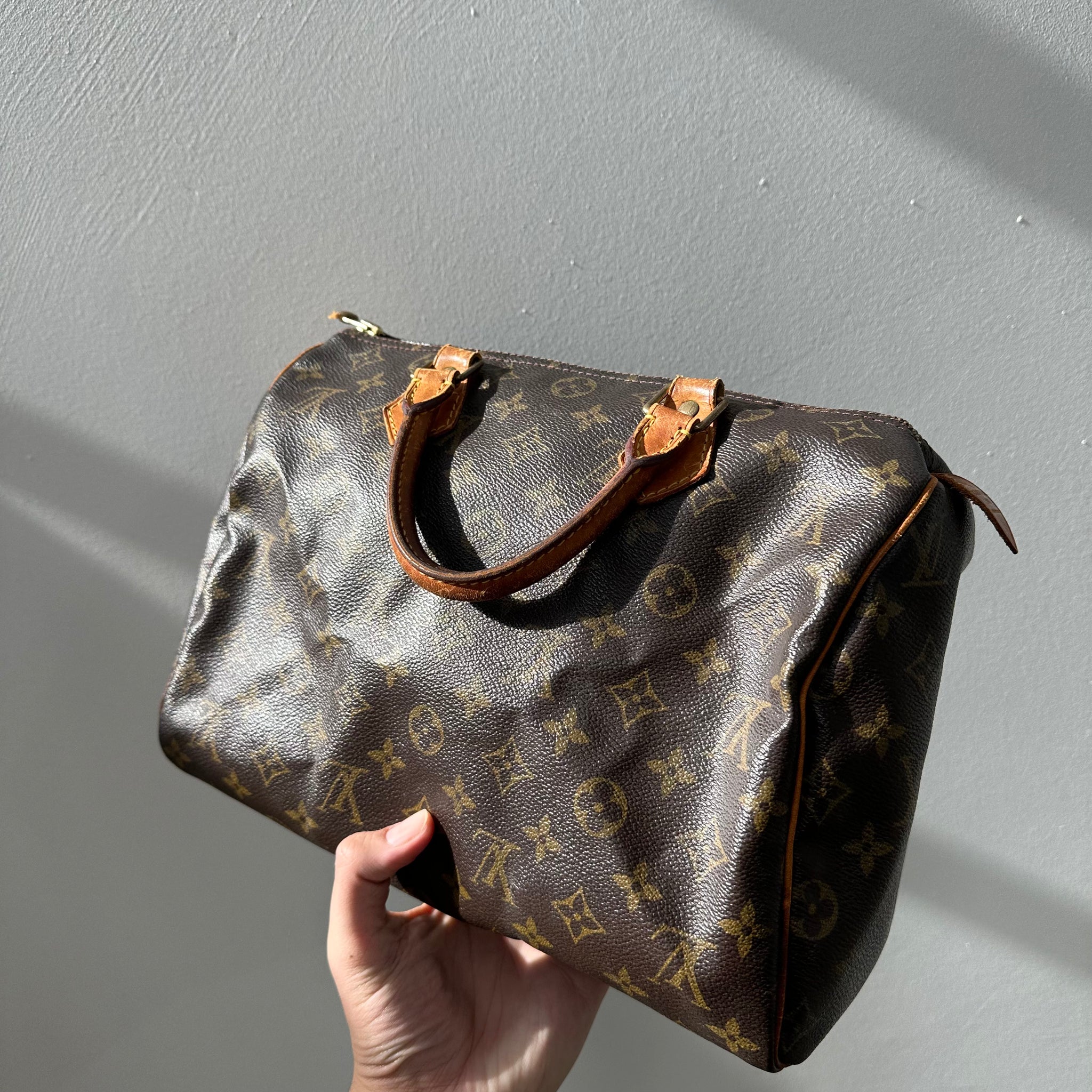 Louis Vuitton Speedy 30 Monogram Hand Bag (2002)