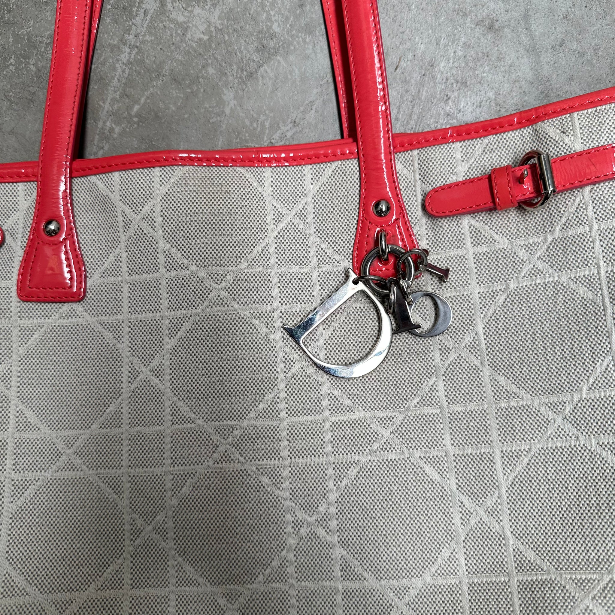 Dior Cannage Panareare Tote Bag