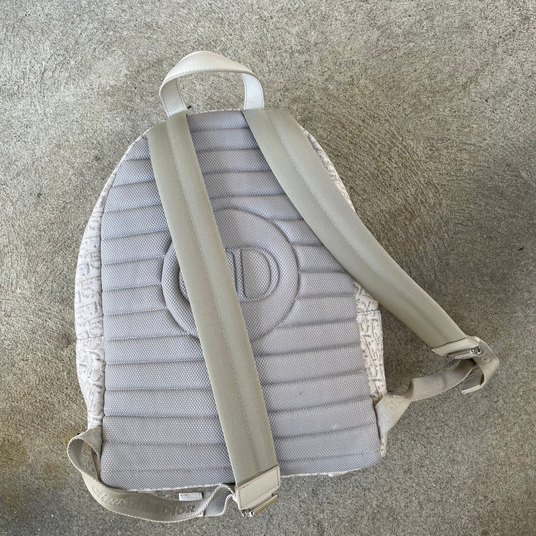 Dior Oblique Rider Backpack White / Beige