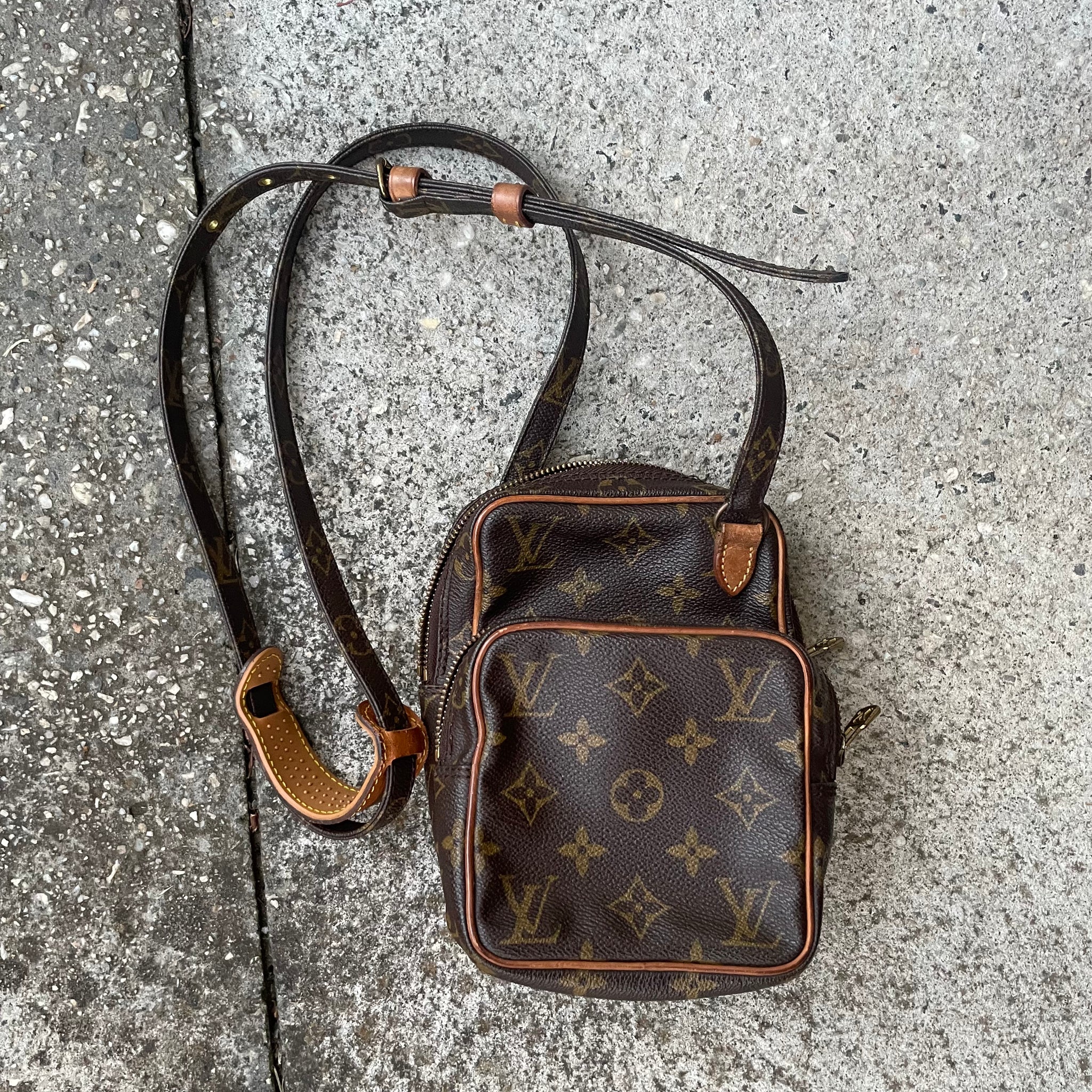 Louis Vuitton Mini Amazon Crossbody Monogram Bag