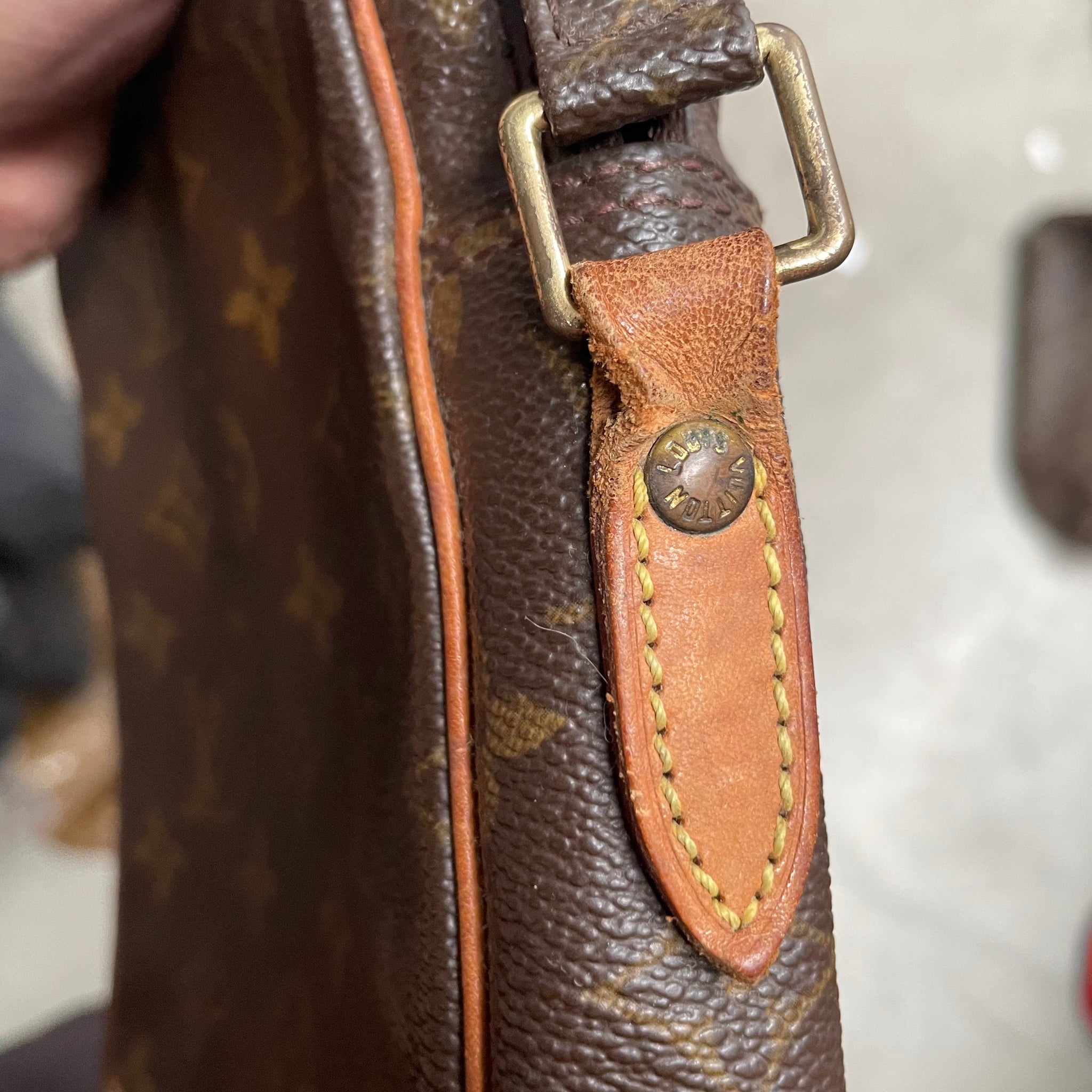 Louis Vuitton Danube Crossbody Monogram Bag