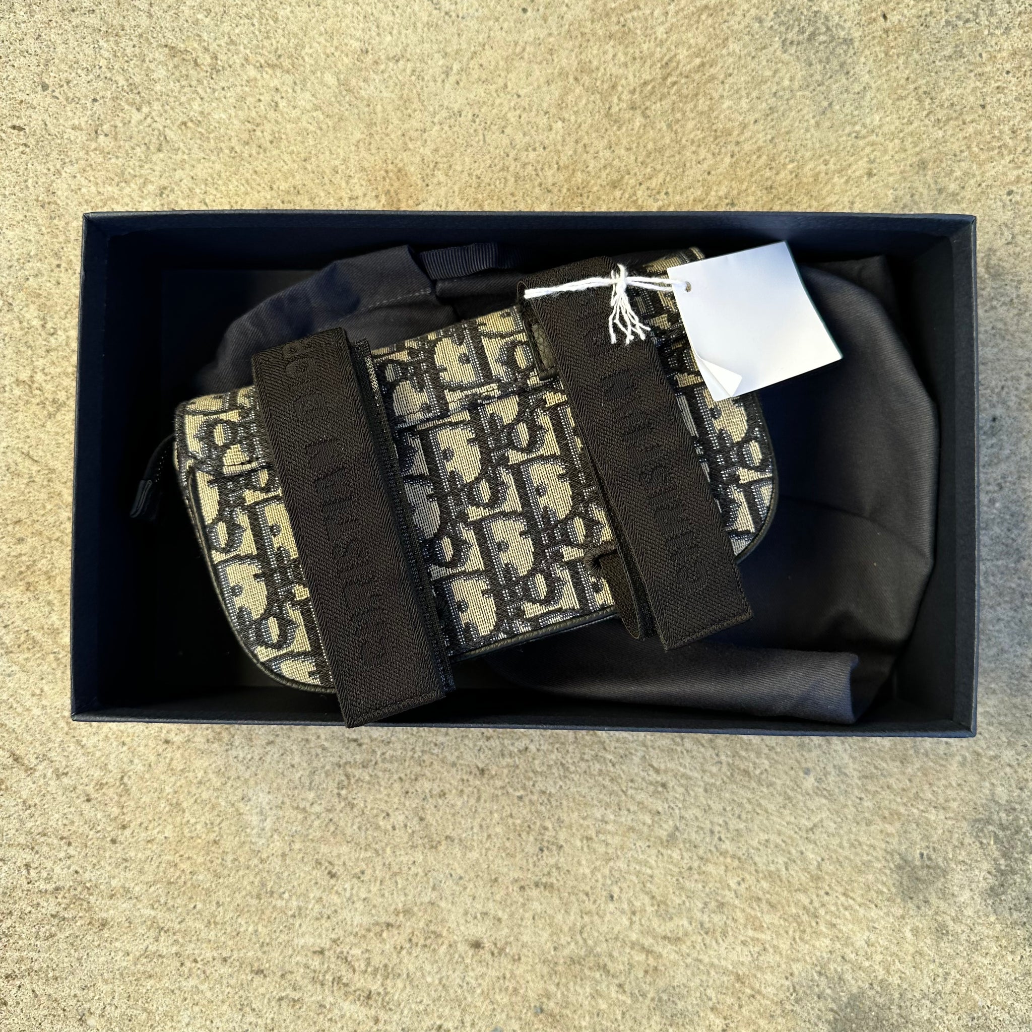 Dior Saddle Arm Pouch Oblique